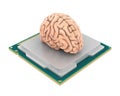Computer Processor CPU with Human Brain Isolated Royalty Free Stock Photo
