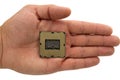 Computer processor at hand Royalty Free Stock Photo