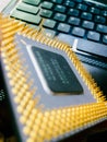 Computer Processor Intel Pentium Royalty Free Stock Photo