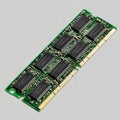Computer RAM memory module with multiple memory chips arranged in a row on a circuit board set against a plain background Royalty Free Stock Photo