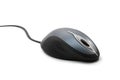 Computer's mouse looked like real mouse. Isolated