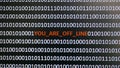 Computer screen shot with binary code and warning text, concept for computer, technology and online security. Royalty Free Stock Photo