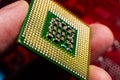 computer support engineer installs a processor. A microprocessor with the silicon core and cache chip clearly visible. Installing Royalty Free Stock Photo