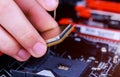 Computer technician installing CPU into motherboard. Close up. Royalty Free Stock Photo