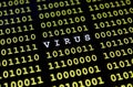 Computer virus Royalty Free Stock Photo