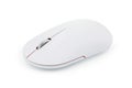 Computer wireless mouse isolated on white background Royalty Free Stock Photo