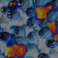 Computergenerated Texture of Papaya Seeds Royalty Free Stock Photo