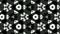 Computerized animation of black and white floral patterns popping and fading on black background. Motion graphics