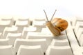 Comuter as slow as a snail Royalty Free Stock Photo