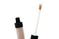 Concealer makeup bottle. face skin corrective cosmetic product - Image