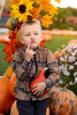 Conceived little boy with autumn decoration. Autumn portrait.