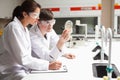 Concentrate students in science looking Royalty Free Stock Photo