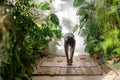 Concentrated sported black woman stretching do sports fitness yoga among green houseplants at home.