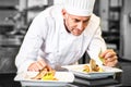 Concentrated male chef garnishing food in kitchen