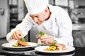 Concentrated male chef garnishing food in kitchen Royalty Free Stock Photo