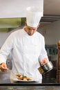 Concentrated male chef garnishing food in kitchen Royalty Free Stock Photo