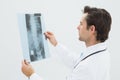 Concentrated male doctor examining spine xray Royalty Free Stock Photo