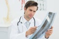 Concentrated male doctor looking at xray picture of spine Royalty Free Stock Photo