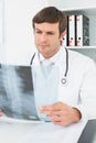 Concentrated male doctor looking at xray picture of spine Royalty Free Stock Photo