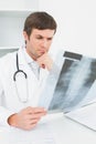 Concentrated male doctor looking at xray picture of spine Royalty Free Stock Photo