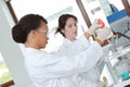 Concentrated young female scientists