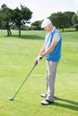 Concentrating golfer lining up his shot Royalty Free Stock Photo