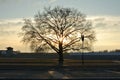 Concentration Camp Sachsenhausen Royalty Free Stock Photo