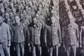 Concentration camp victims photos Royalty Free Stock Photo