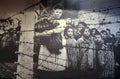 Concentration camp victims photos Royalty Free Stock Photo