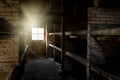 Concentration death camp dark eerie wooden bunk bed barracks with light rays shining through window. Extermination camp sleeping