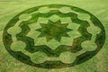 Concentric circles and stars symbols fake crop circle meadow Royalty Free Stock Photo