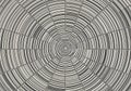Concentric circular pattern composed of black and white lines Royalty Free Stock Photo