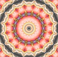 Concentric floral ornament pink yellow red Royalty Free Stock Photo