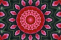 Concentric Flower Close-up. Mandala Kaleidoscopic design. Esoteric magic concept