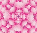 Concentric pink flower texture