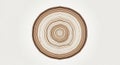 Concentric rings form a pattern resembling a tree trunk cross-section, highlighting circular growth Royalty Free Stock Photo
