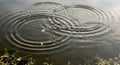 Concentric ripples spread across a calm Royalty Free Stock Photo