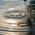 Concentric ripples spread across a calm water surface reflecting a Royalty Free Stock Photo