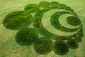 Concentric spirals symbols fake crop circle meadow Royalty Free Stock Photo