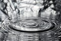 concentric waves, rings, circles on the water surface after a drop fell into the water Royalty Free Stock Photo
