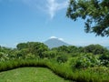 Concepcion volcano view from behind folliage Royalty Free Stock Photo