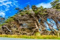 Waipapa Point; South Island Royalty Free Stock Photo