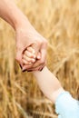 Concept of adoptive child, human hand holding arm of baby against yellow wheat background