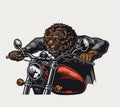 Concept of aggressive bear head motorcyclist Royalty Free Stock Photo