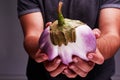 Big beautiful eggplant in man`s hands. Healthy lifestyle.