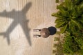 Concept of airplane travel to exotic destination with shadow of commercial airplane flying above beautiful tropical beach. Beach Royalty Free Stock Photo