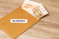 Concept of alimony, money for childcare costs Royalty Free Stock Photo
