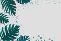 Concept art Minimal background design Leaves monster blue Tropical and leaves in vibrant bold gradient trendy Summer Tropical Leav