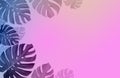 Concept art Minimal background design Leaves monster Pink blue Tropical and leaves in vibrant bold gradient holographic neon color