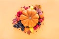 The concept of the autumn harvest of pumpkin vegetables, fruits and berries Royalty Free Stock Photo